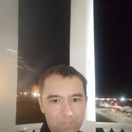 ������, 38 ���, ���������