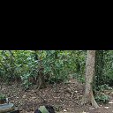 ���� ��������, ������������ - ��������� 14 �������� 2025