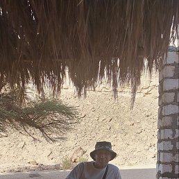 ���� ������, ������, 53 ���� - ��������� 31 ����� 2026