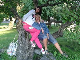 �����������