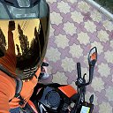 ���� ������, �����-���������, 39 ��� - ��������� 8 ���� 2024 � ������ ���� ����������