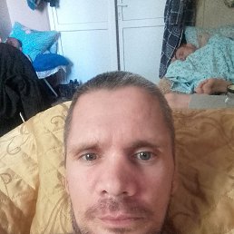 , 40 , 