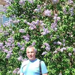 ��������, 54 ����, �����-���������