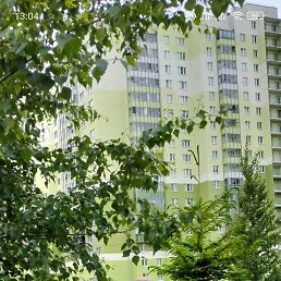 �����, �����-���������, 59 ���