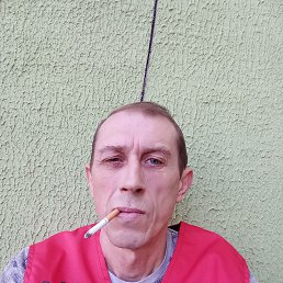 , 53, 