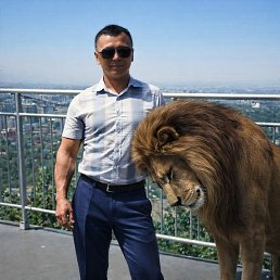 Rashid, �������, 52 ����