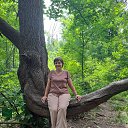 ���� ����, ������, 44 ���� - ��������� 7 ������ 2026 � ������ ���� ����������