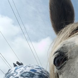 �������, ����, 46 ���