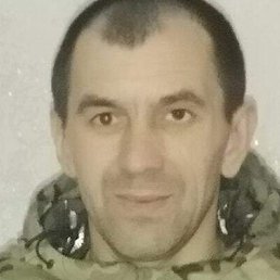 ����, �������, 41 ���