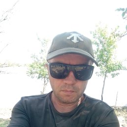 , 41, 