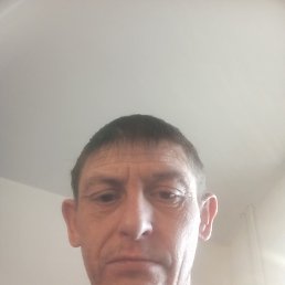 ����, 42 ����, ������