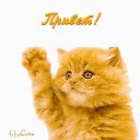 ���� ����, ��������, 51 ��� - ��������� 21 ������� 2025 � ������ ���� ����������