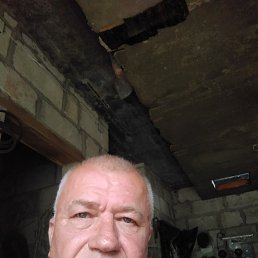 , 62, 