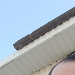 ������, ������, 42 ����