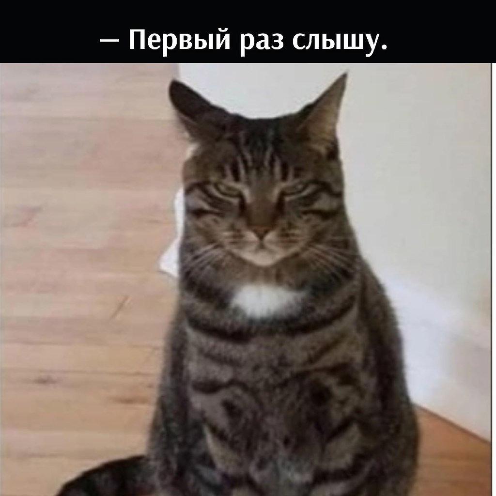 ��� ���� � ����� �� �� - 24 ������� 2026 � 22:00 - 2
