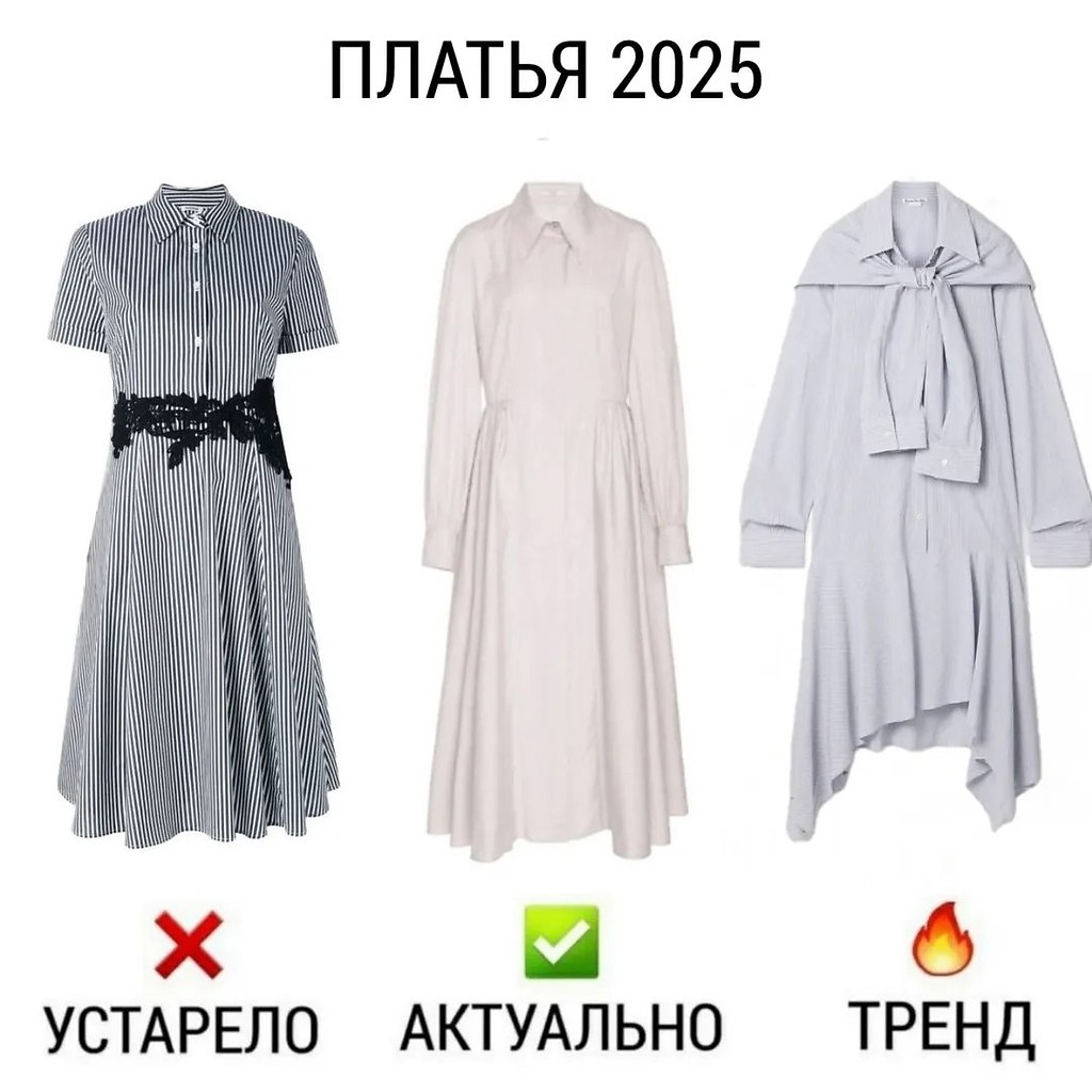  2025:   