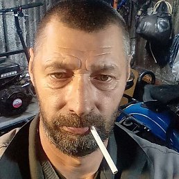 ������, �������, 49 ���