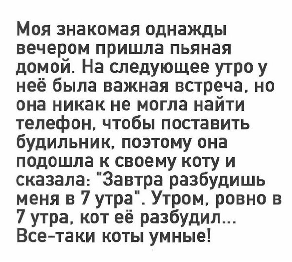 ���� ����� ������������. - 31 ����� 2026 � 21:28