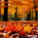 ���� ������, ������, 49 ��� - ��������� 13 �������� 2025 � ������ ������ ��������