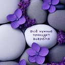 ���� �������, �������� - ��������� 28 ������ 2026 � ������ ������ ��������