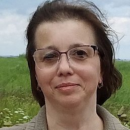 ����, �����-���������, 49 ���