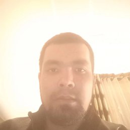 , 26, 