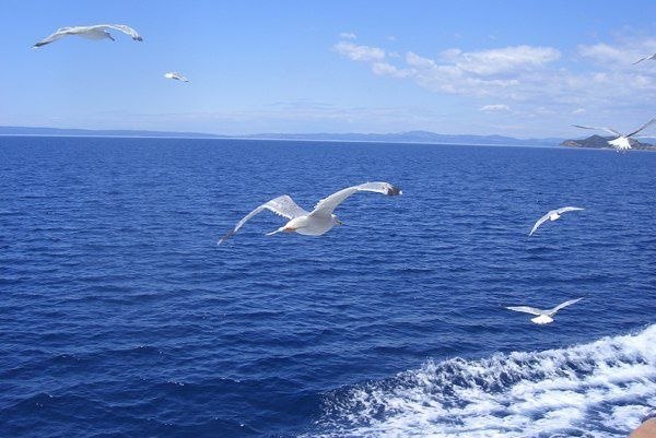 -   ,   " " ,    ... - 2