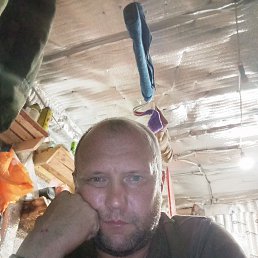 , 38, 