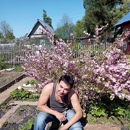 �������, �����������-��-�����, 46 ���