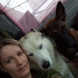 ������, �����������, 46 ���