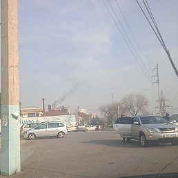 �����, �������, 36 ���