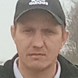 �������, ����, 37 ���