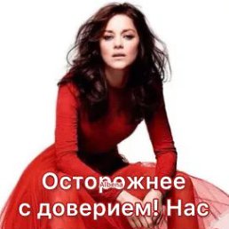 ���� �����, ������, 62 ���� - ��������� 27 ������� 2023