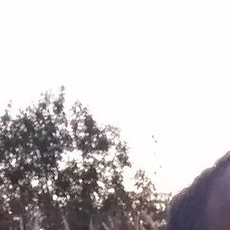 ���������, ������, 75 ���