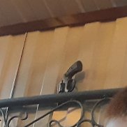 ������, 19 ���, ������