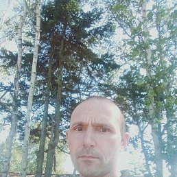 ����, 41 ���, ����-���������