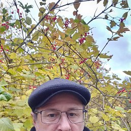  , 63, 