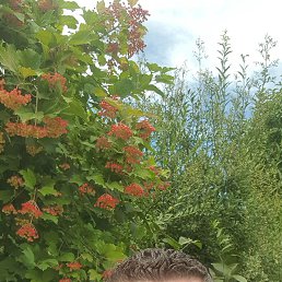 Lollo, 48, 