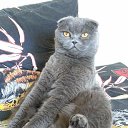  .., , 51  -  30  2024