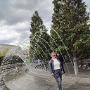 ���� ��������, ��������� - ��������� 29 ������ 2026 � ������ ���� ����������