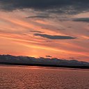 ���� ����, ������, 61 ��� - ��������� 9 ������� 2024