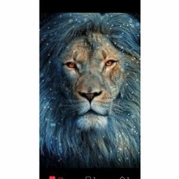 ���� �����, ��������, 53 ���� - ��������� 15 ������� 2025