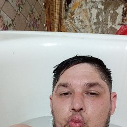 , 33, 