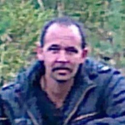 ���������, �����, 53 ����