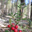 �������� ������