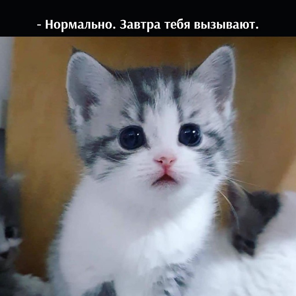       - 29  2025  11:12 - 4