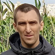 ������, 41 ���, ������