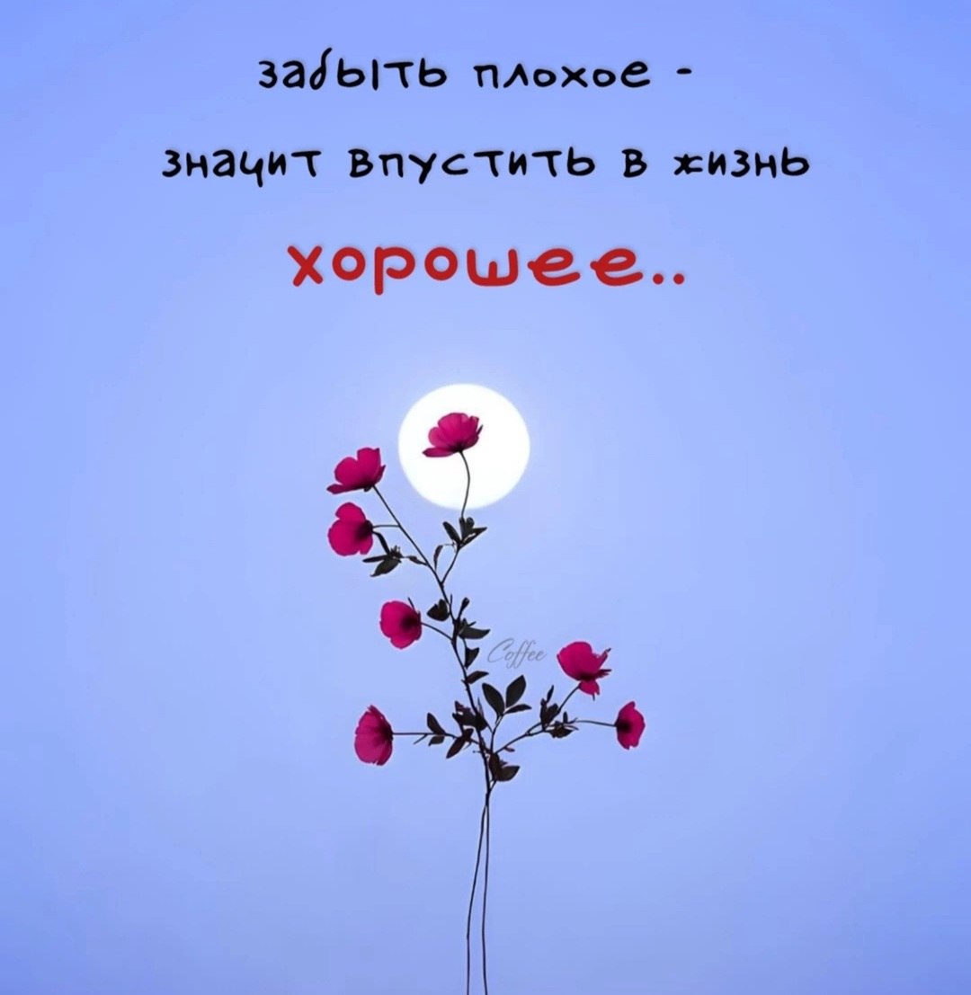 *T* - 19  2025  12:12