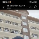  , , 50  -  26  2025    