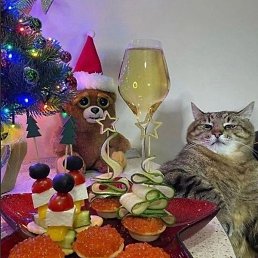 ������, ������, 38 ���